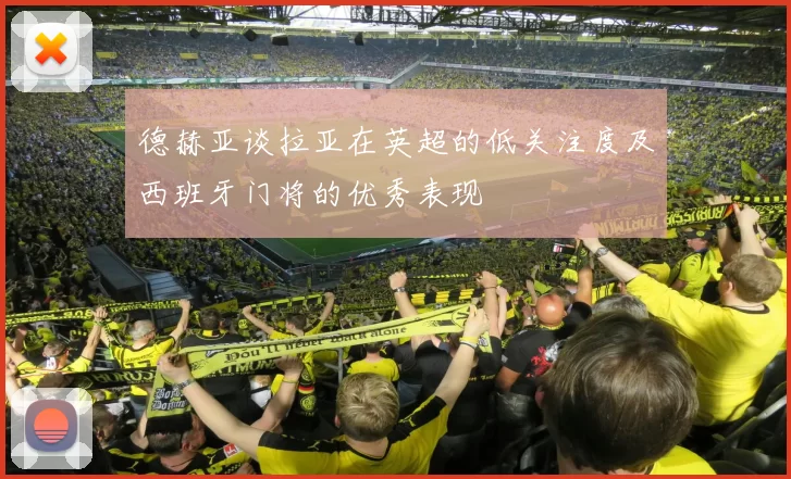 德赫亚谈拉亚在英超的低关注度及西班牙门将的优秀表现